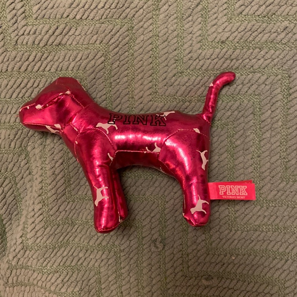 VS PINK dog!